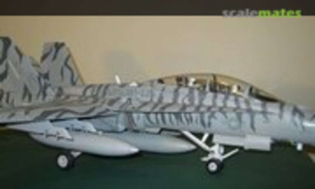 McDonnell Douglas F/A-18D Hornet 1:32