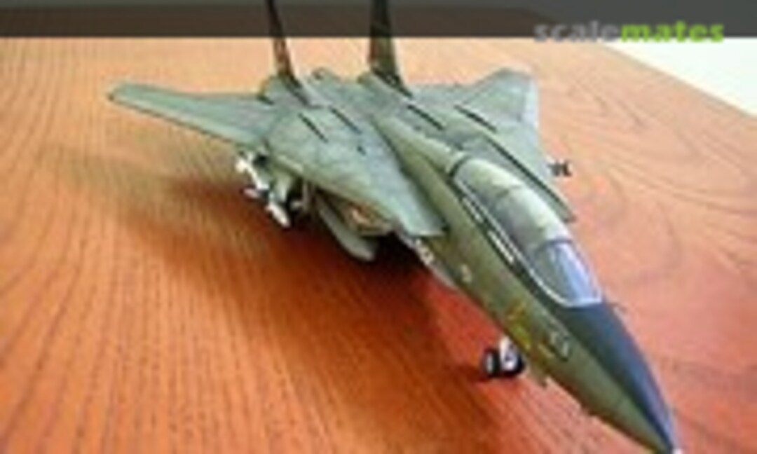 Grumman F-14A Tomcat 1:72