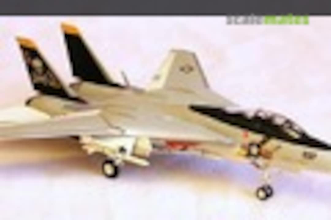 Grumman F-14A Tomcat 1:100