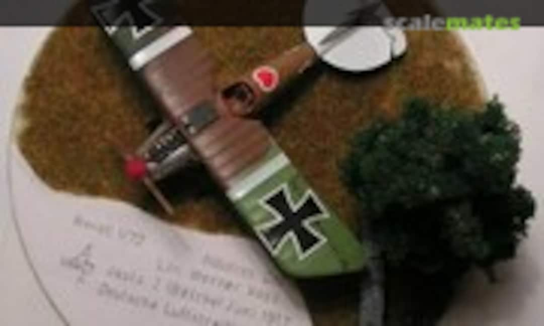 Albatros D.III 1:72