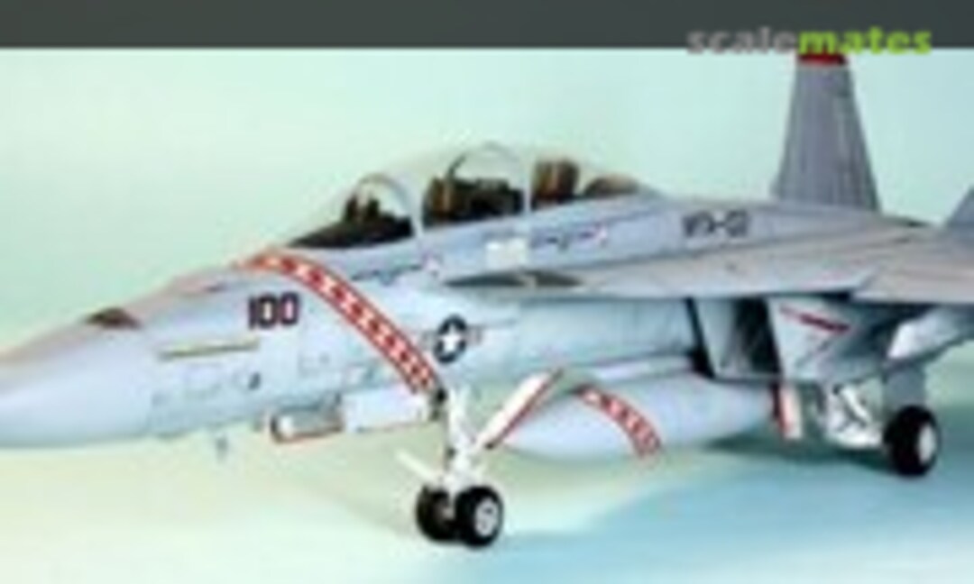 Boeing F/A-18F Super Hornet 1:48