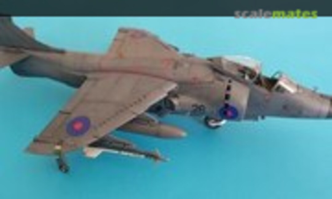 BAe Sea Harrier FRS.1 1:48