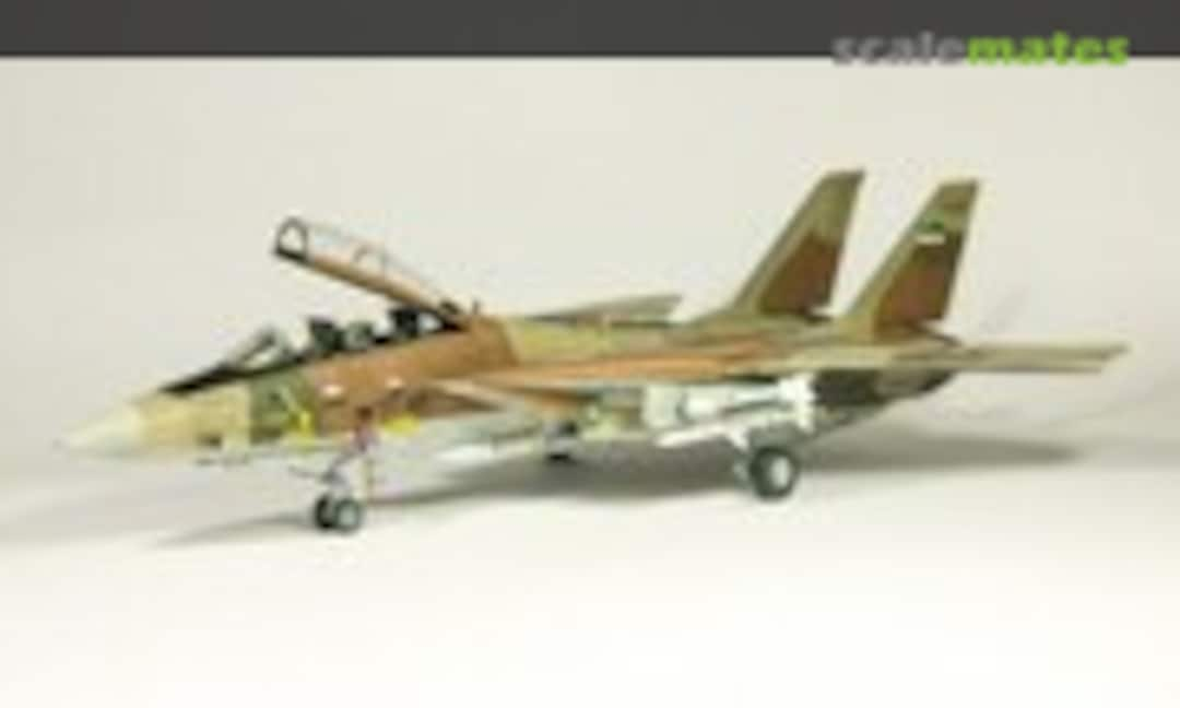 Grumman F-14A Tomcat 1:48