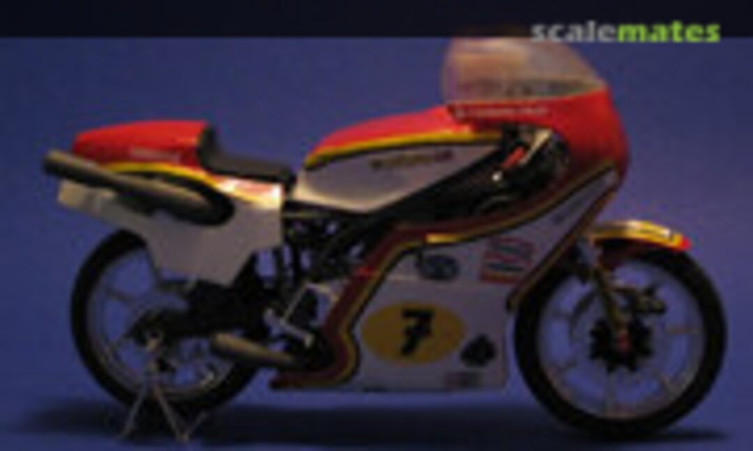 Suzuki RG 500 1:12