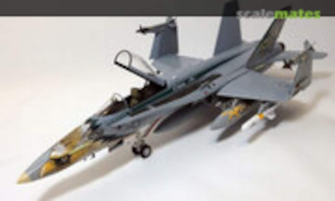 McDonnell Douglas F/A-18C Hornet 1:72