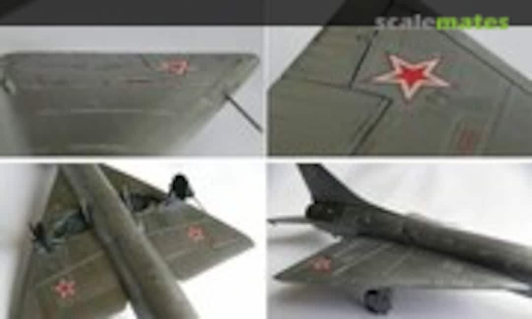 Sukhoi T-49 1:72