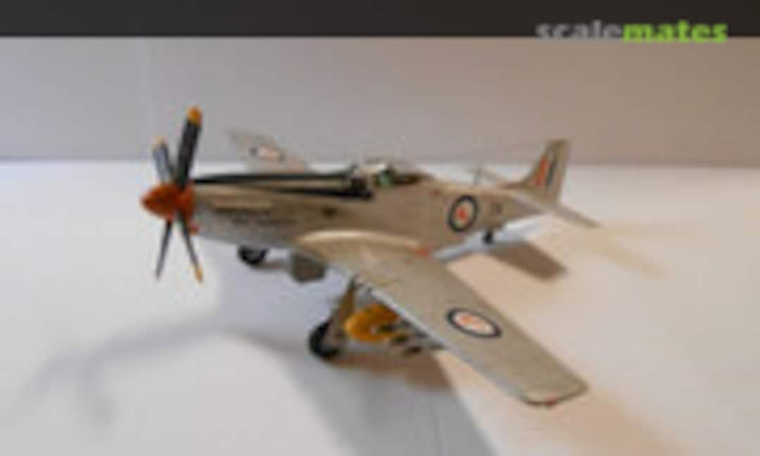 F-51 D Mustang 1:72