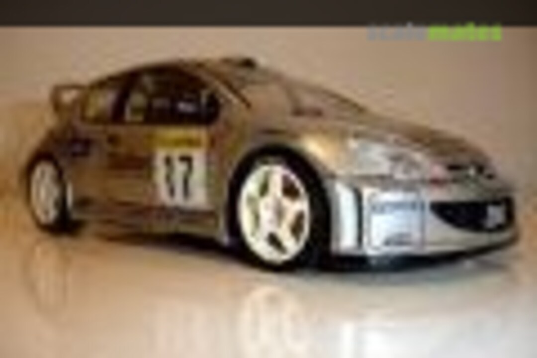 Peugeot 206 WRC 1:24