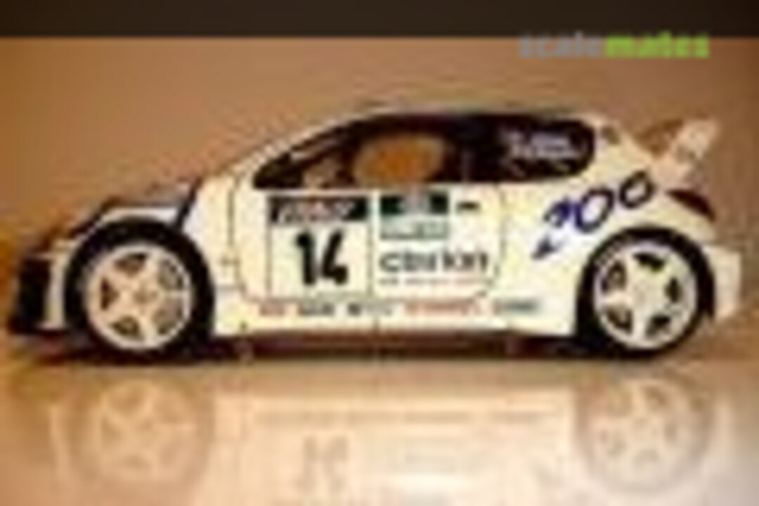 Peugeot 206 WRC 1:24