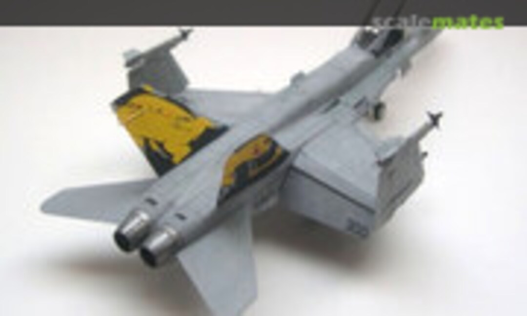 McDonnell Douglas F/A-18C Hornet 1:72