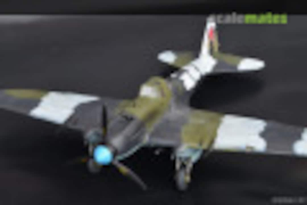 Ilyushin Il-2 Stormovik 1:48