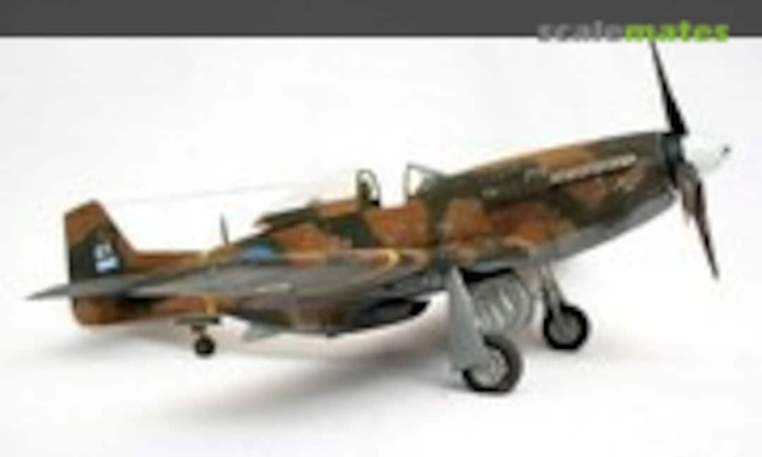 North American P-51D Mustang 1:48