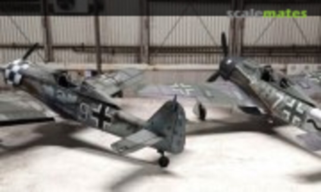 Focke-Wulf Fw 190 A-6 und Fw 190 A-8/R2 1:48