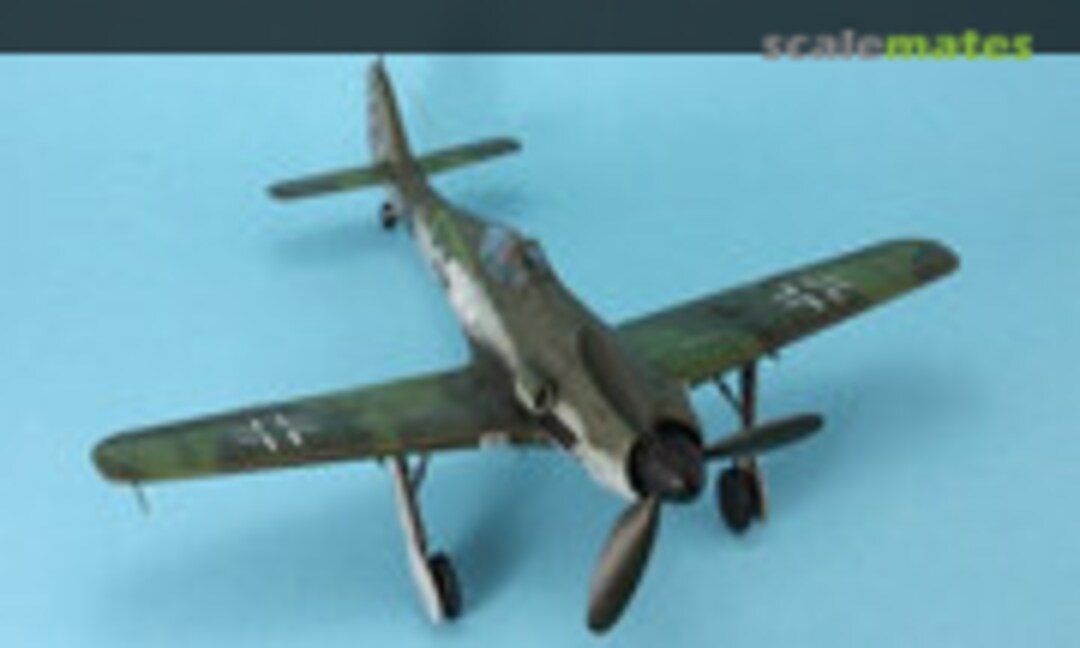 Focke-Wulf Fw 190D-11 1:48