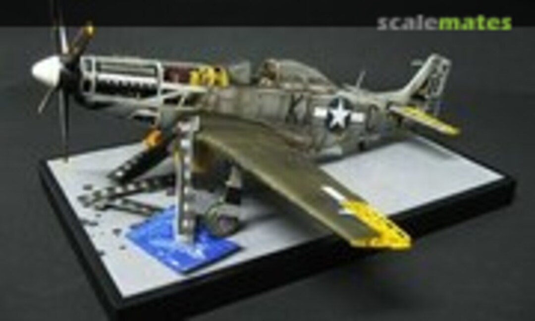 North American P-51D Mustang 1:24