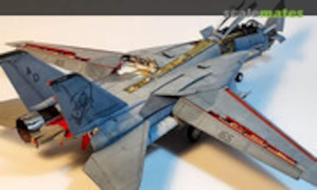 Grumman F-14D Tomcat 1:72