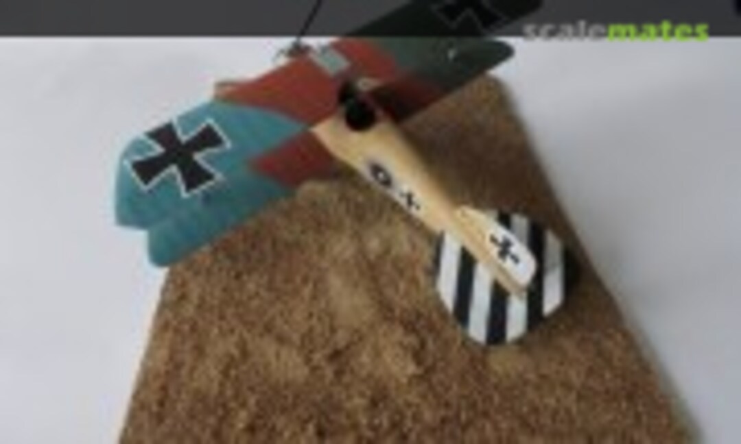 Albatros D.III 1:48