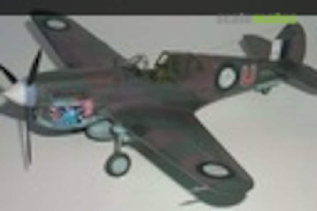 Curtiss P-40E Warhawk 1:48