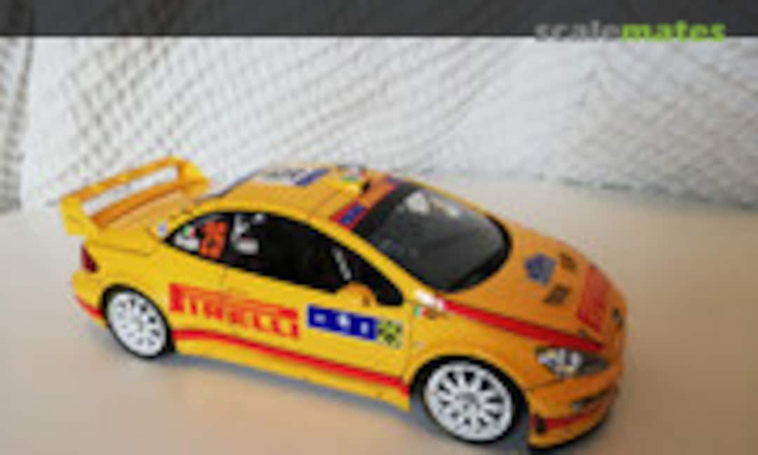 Peugeot 307 WRC 1:24