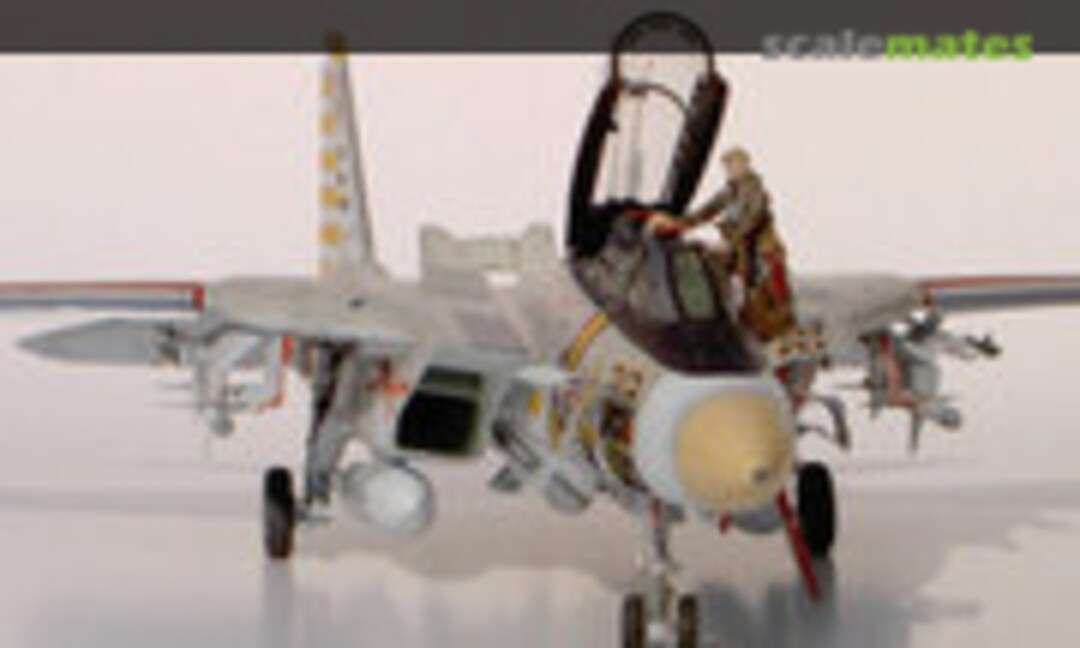 Grumman F-14A Tomcat 1:48