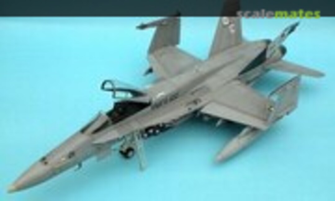 McDonnell Douglas F/A-18C Hornet 1:48