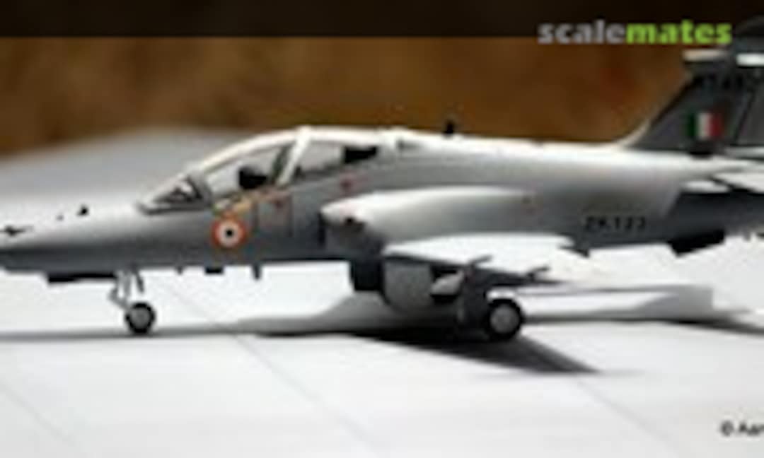 Hawk 1:72