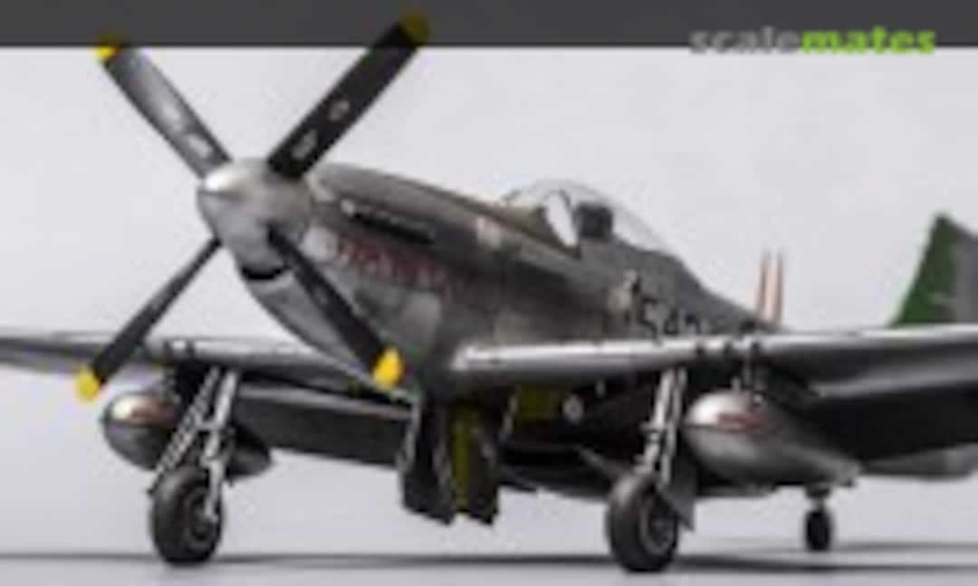 North American P-51D-20 Mustang 1:48