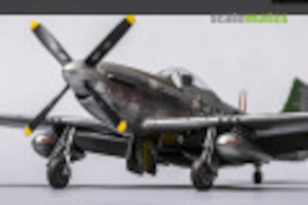 North American P-51D-20 Mustang 1:48