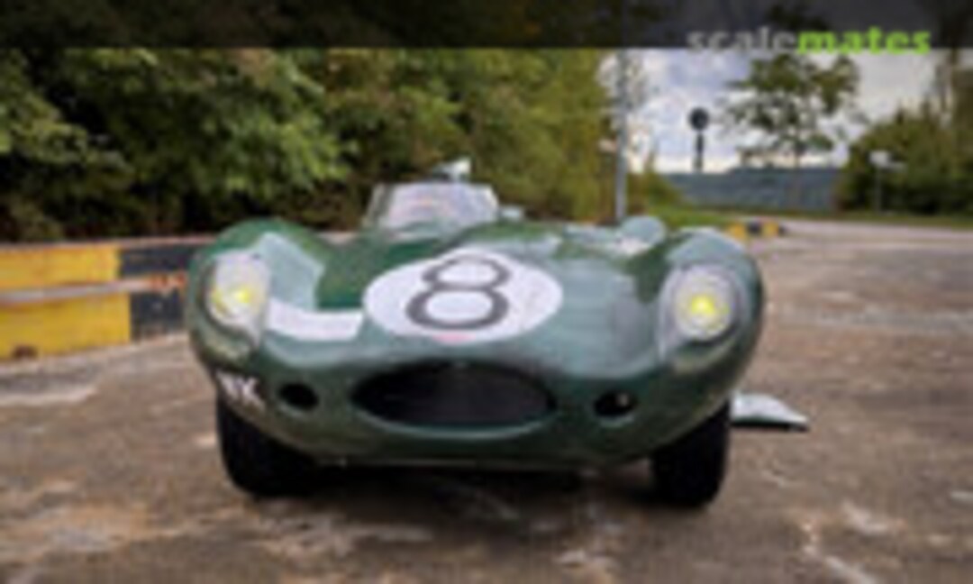 Jaguar D-Type 1:4