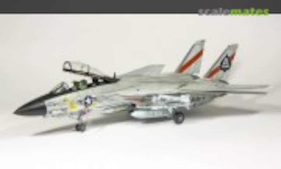 Grumman F-14A Tomcat 1:48