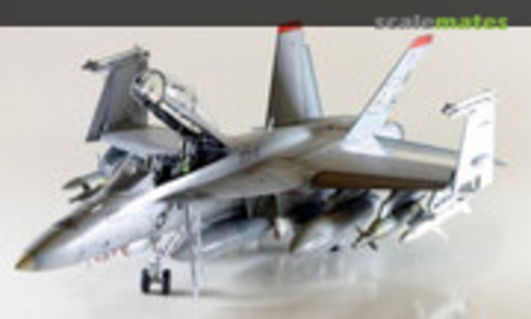 Boeing F/A-18F Super Hornet 1:48