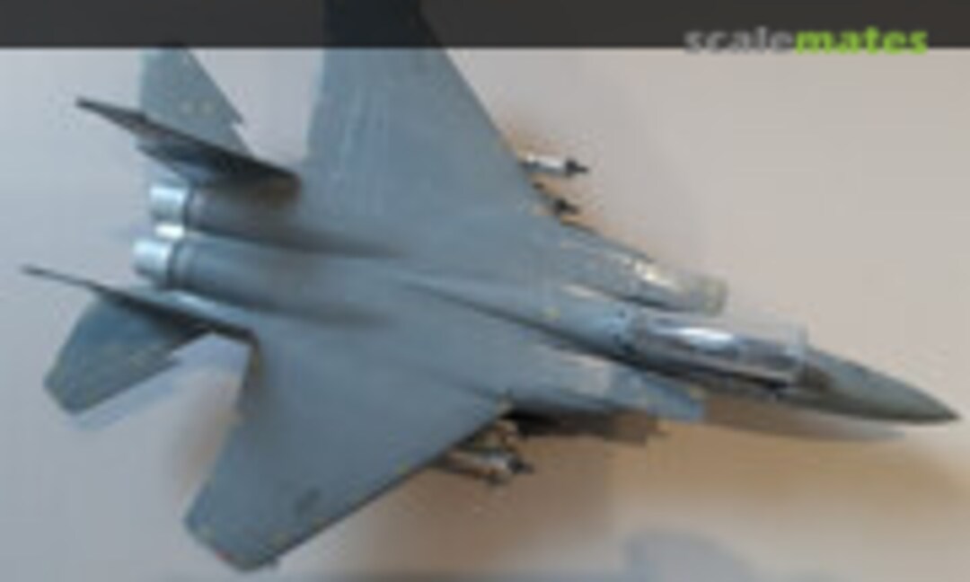 McDonnell Douglas F-15D Eagle 1:72