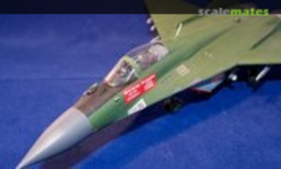 Mikoyan MiG-29 Fulcrum-A 1:48