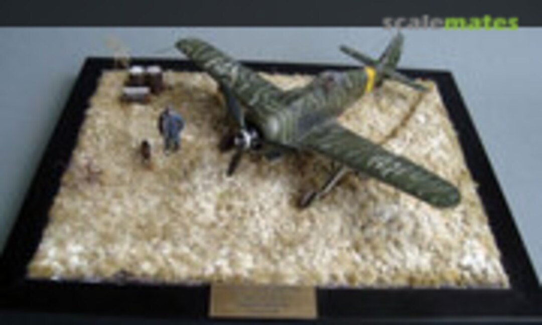 Focke-Wulf Fw 190F-8 1:48