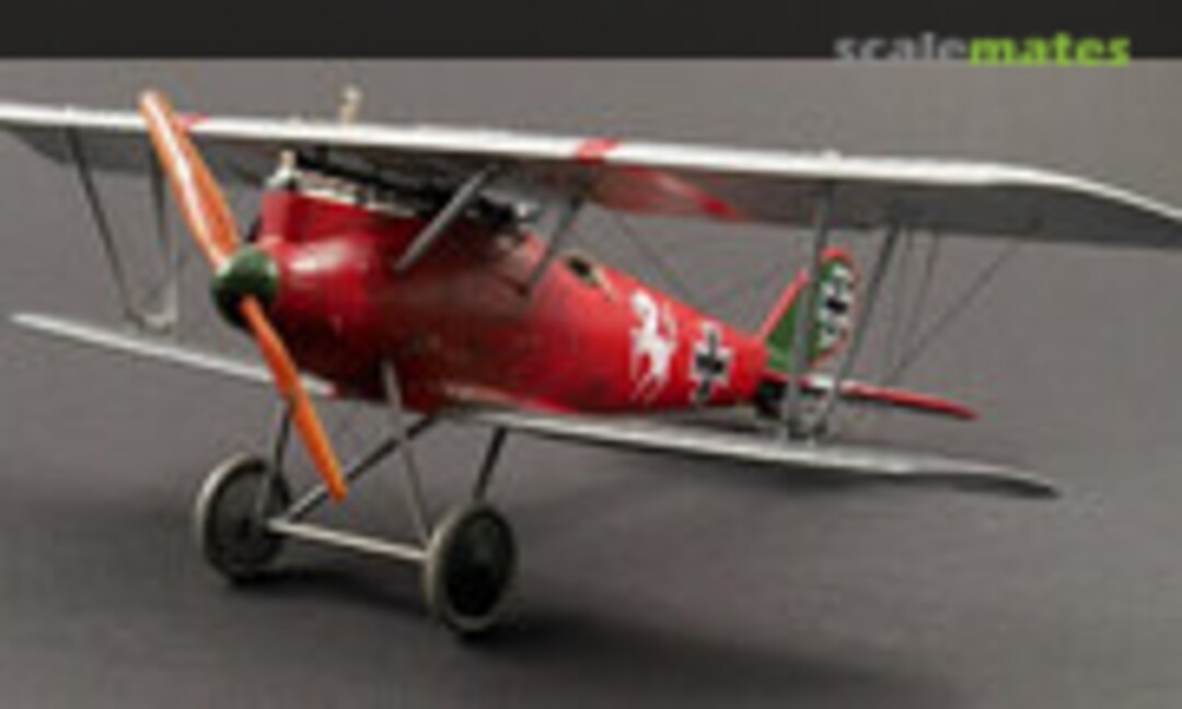 Pfalz D.IIIa 1:48