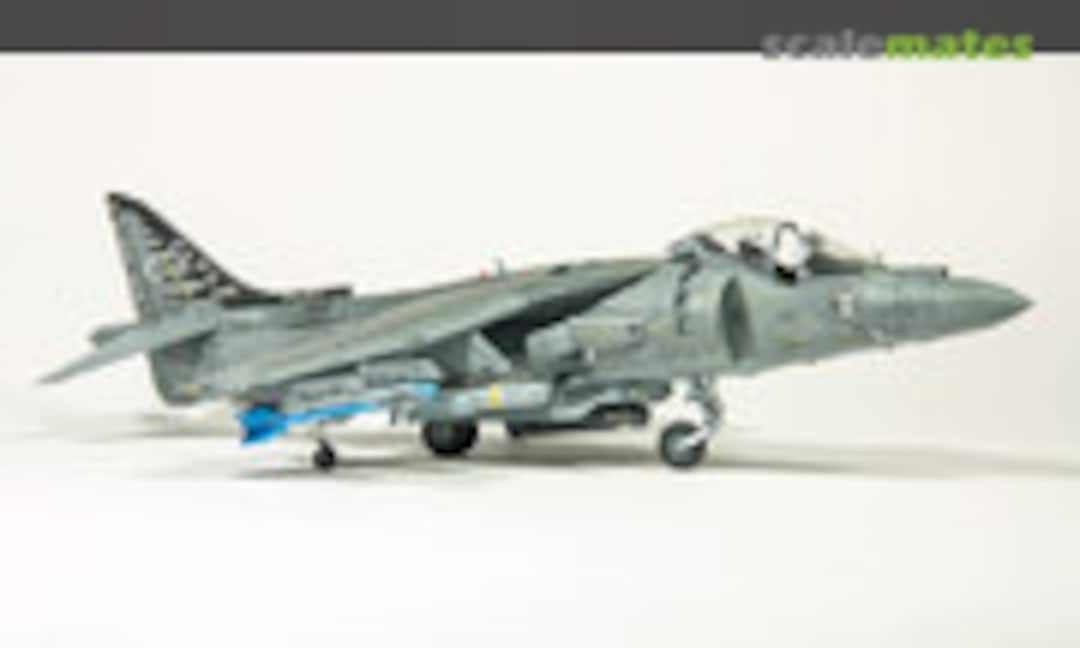 McDonnell Douglas AV-8B Harrier II Plus 1:48