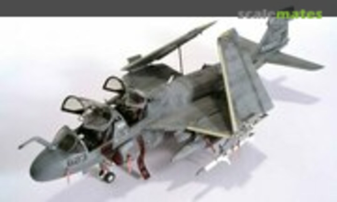 Grumman EA-6B Prowler 1:48