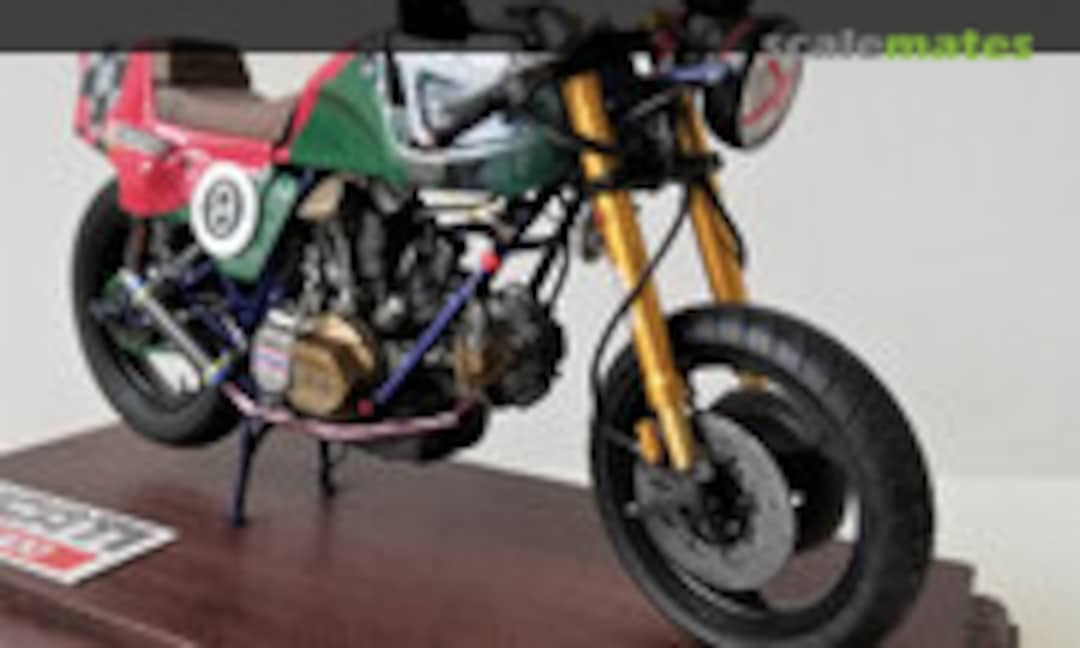 Ducati 900 SS 1:12