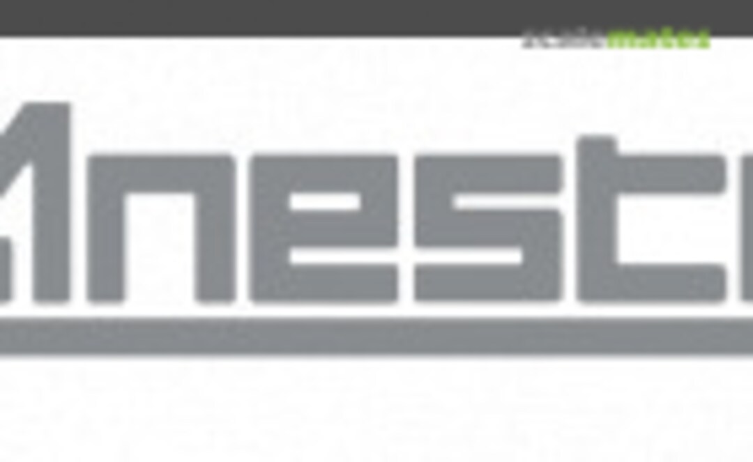 Anesty Logo