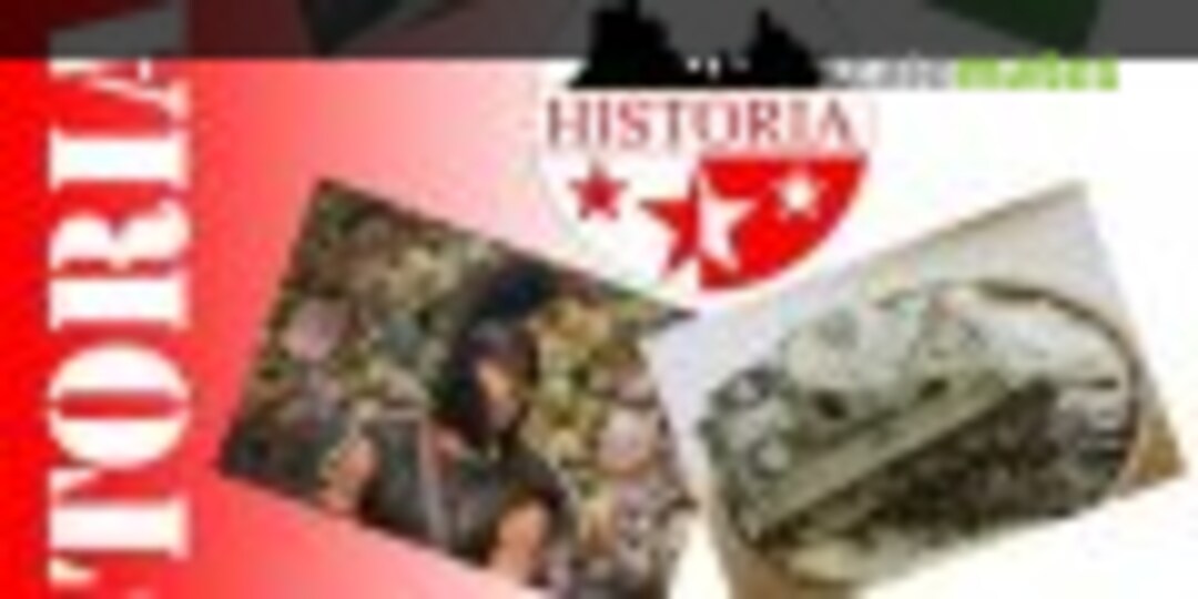 Historia 2013 in Sion