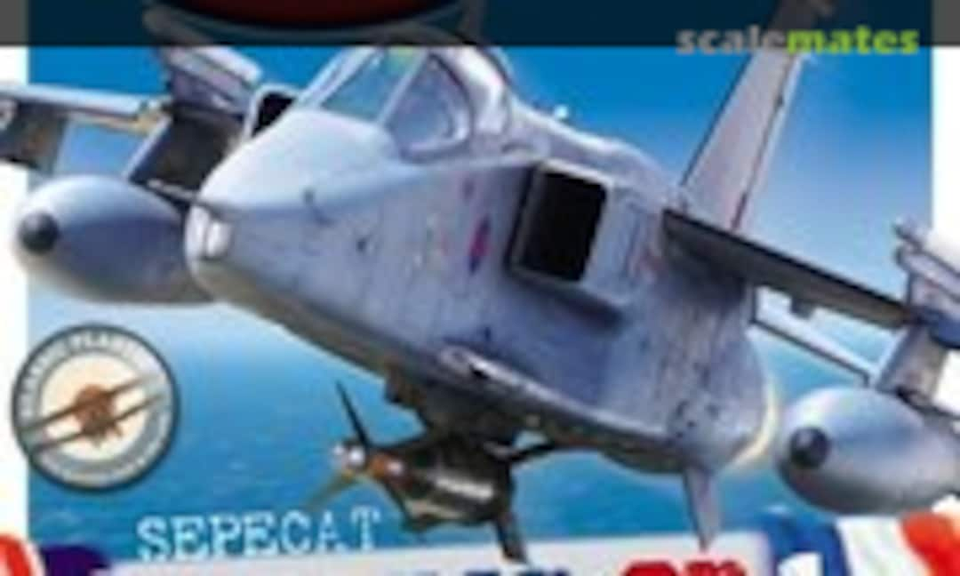 (Scale Aviation Modeller International Volume 21 Issue 6)