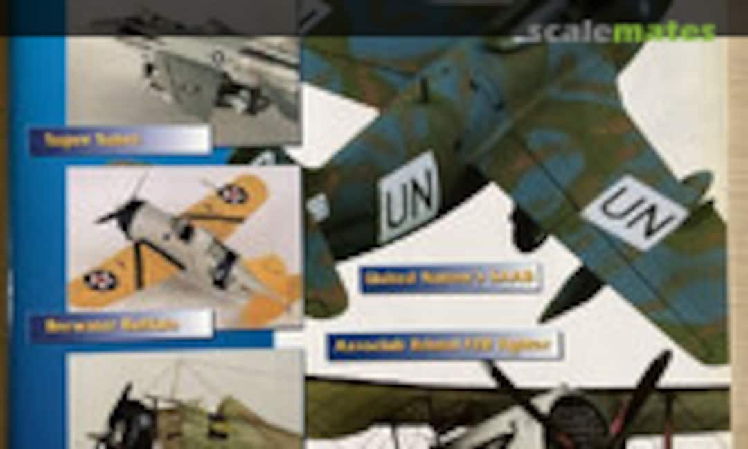 (Aircraft Modeller International 1)