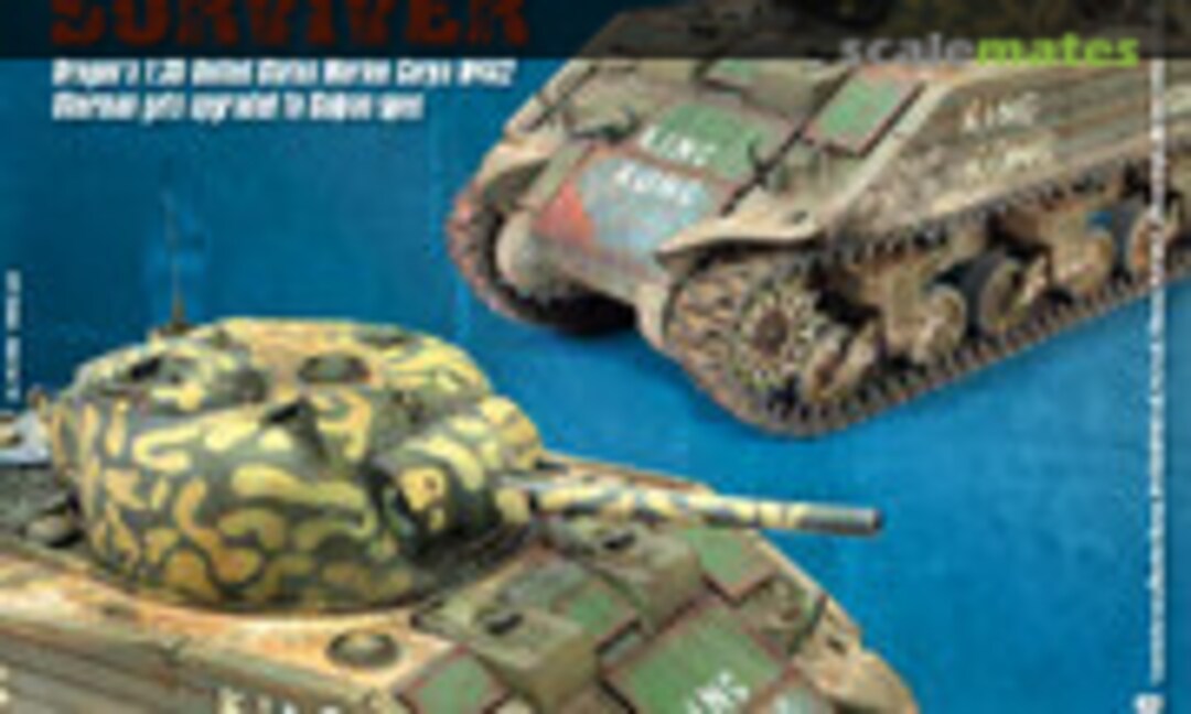 (Military Illustrated Modeller 134)