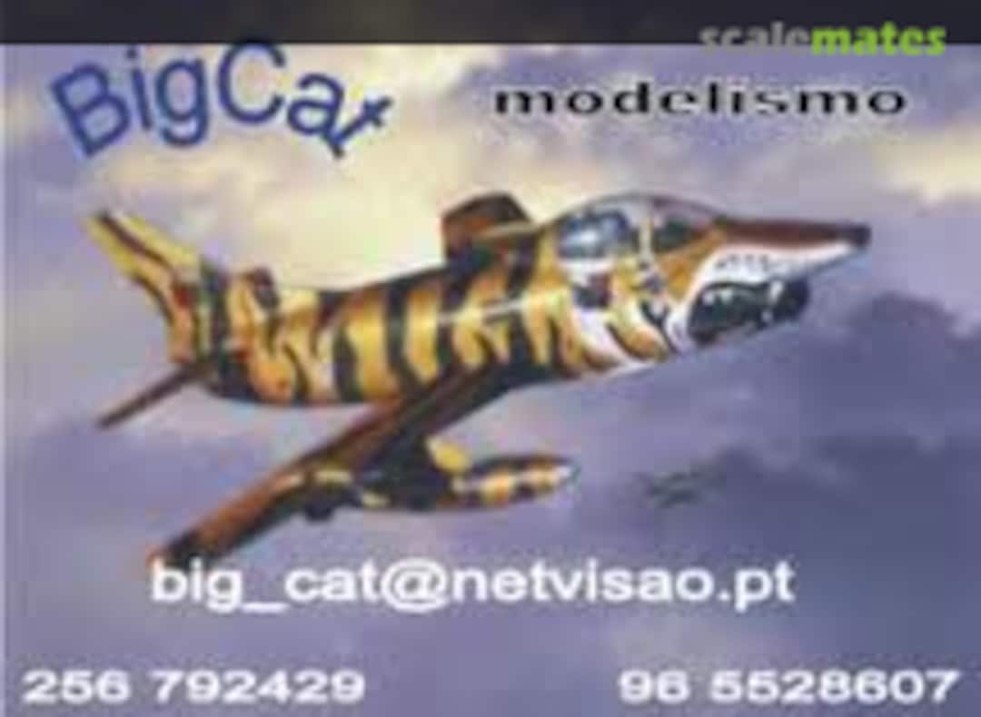 BigCat Modelismo