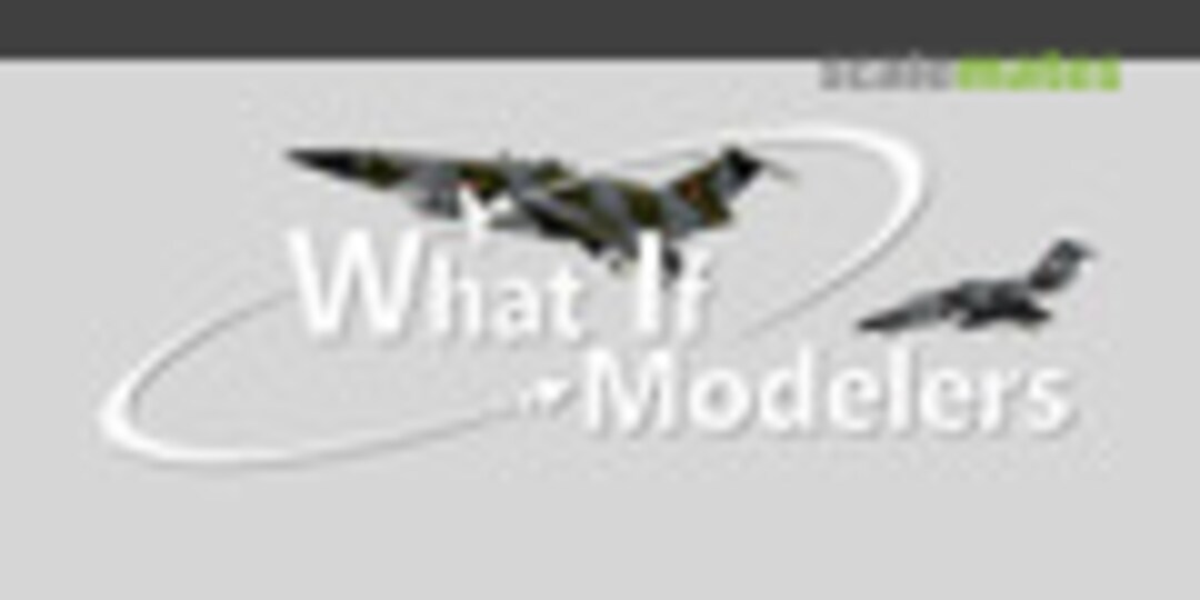 What If Modelers