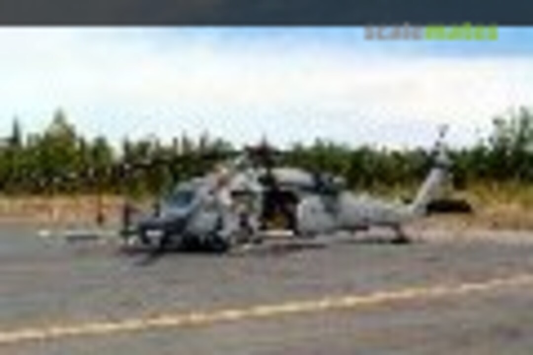 Sikorsky HH-60G Pave Hawk