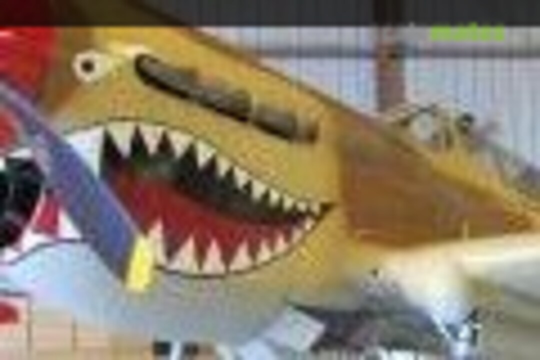 Curtiss P-40 Warhawk