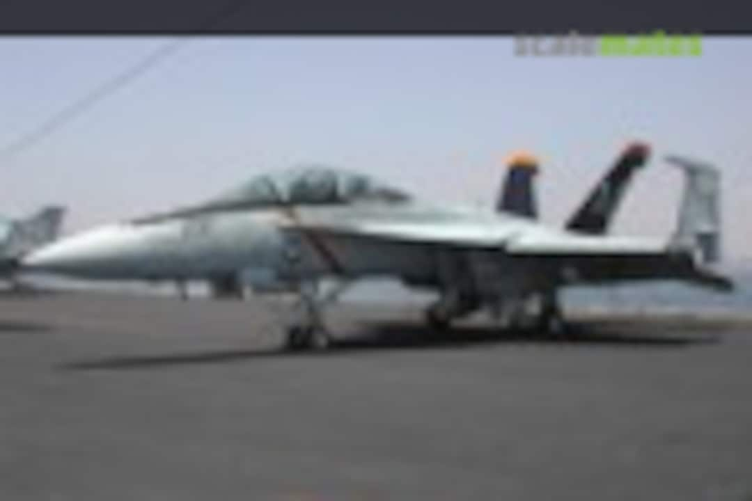 Boeing F/A-18F Super Hornet