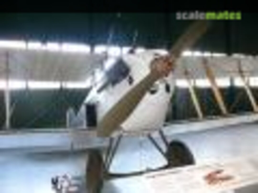 Sopwith Dolphin